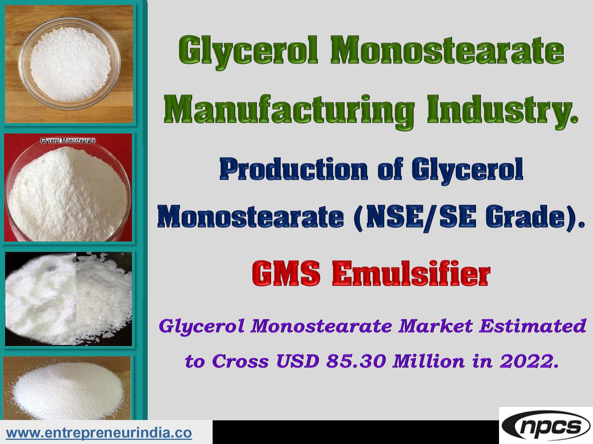 Glycerol Monostearate Manufacturing Industry.jpg
