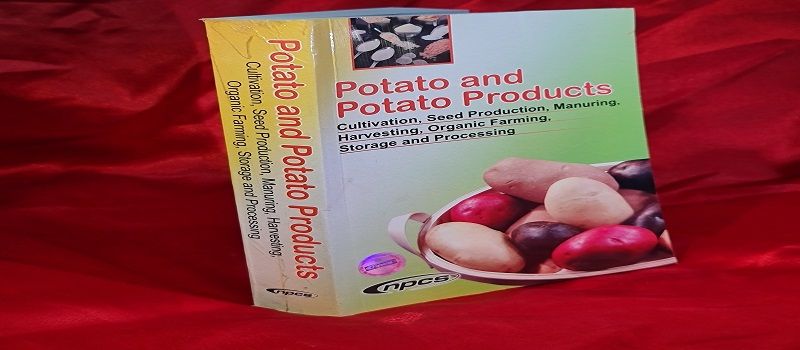 Humble Potato is the Road to Making Money