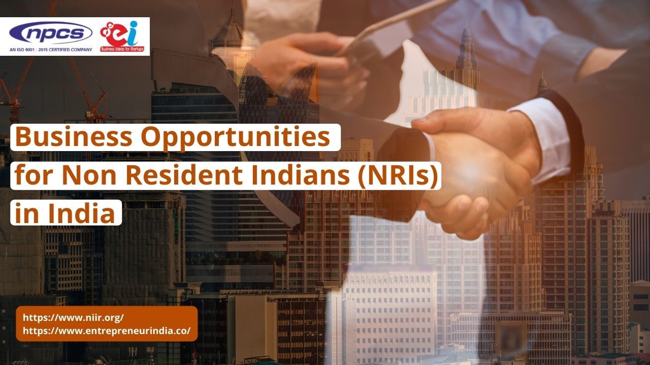 Business Opportunities for Non Resident Indians