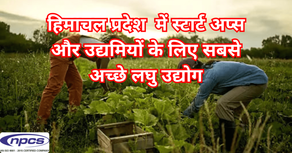 Entrepreneurs in Himachal Pradesh