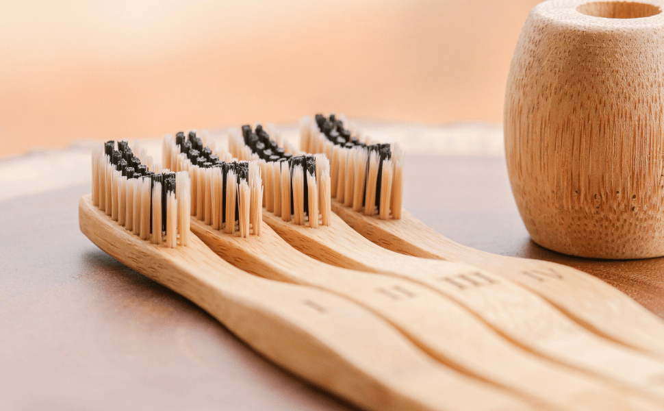 Economic Viability of Bamboo Toothbrushes