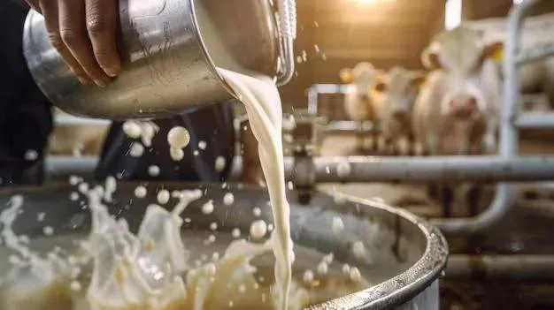 butter and cream production in modern dairy facility