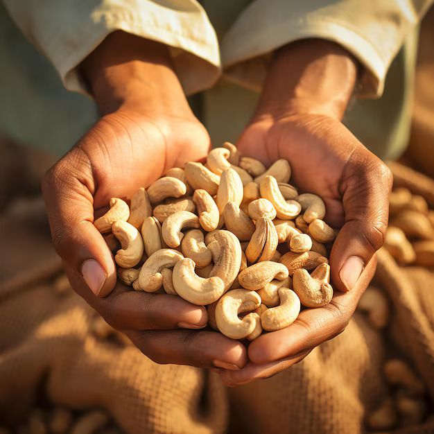 value-added cashew products