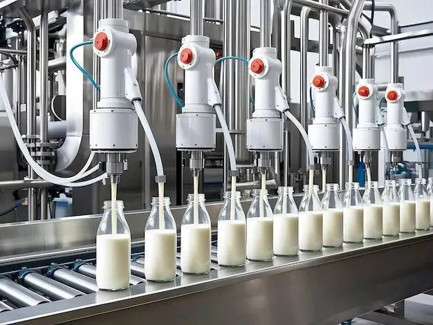 fresh paneer, curd, ghee and cheese dairy products on display