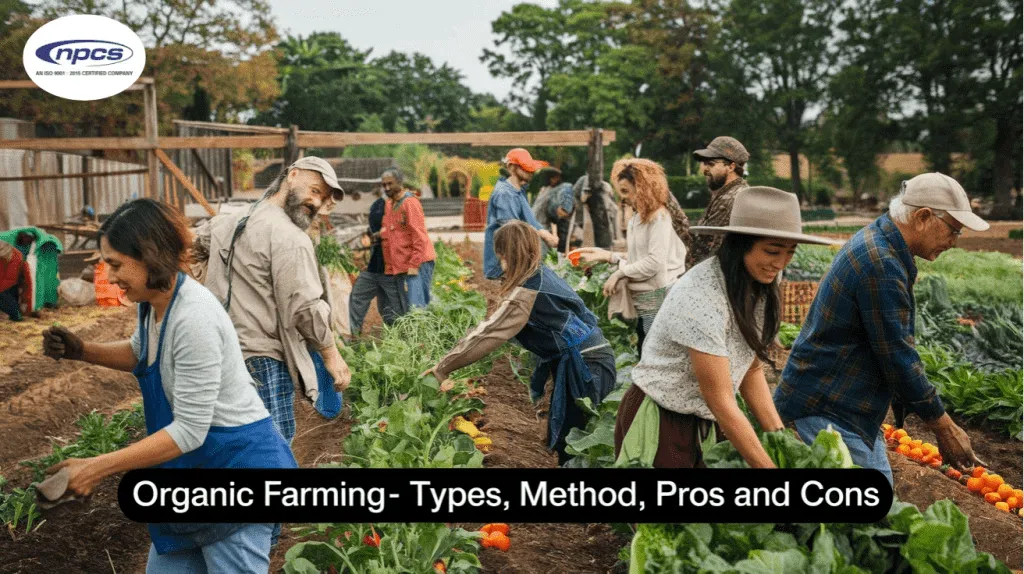 organic farming practices with natural soil care composting crop rotation and eco-friendly agriculture